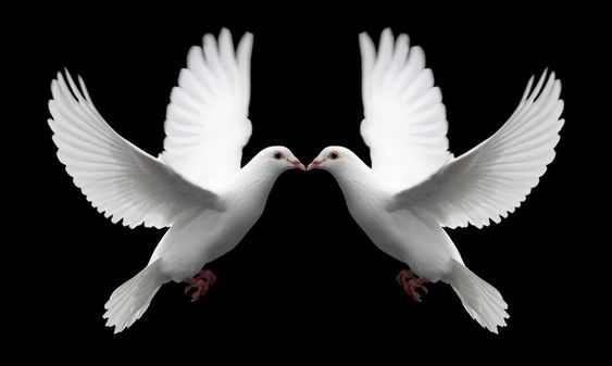 Read more about the article The Necessity Of His Power – IV